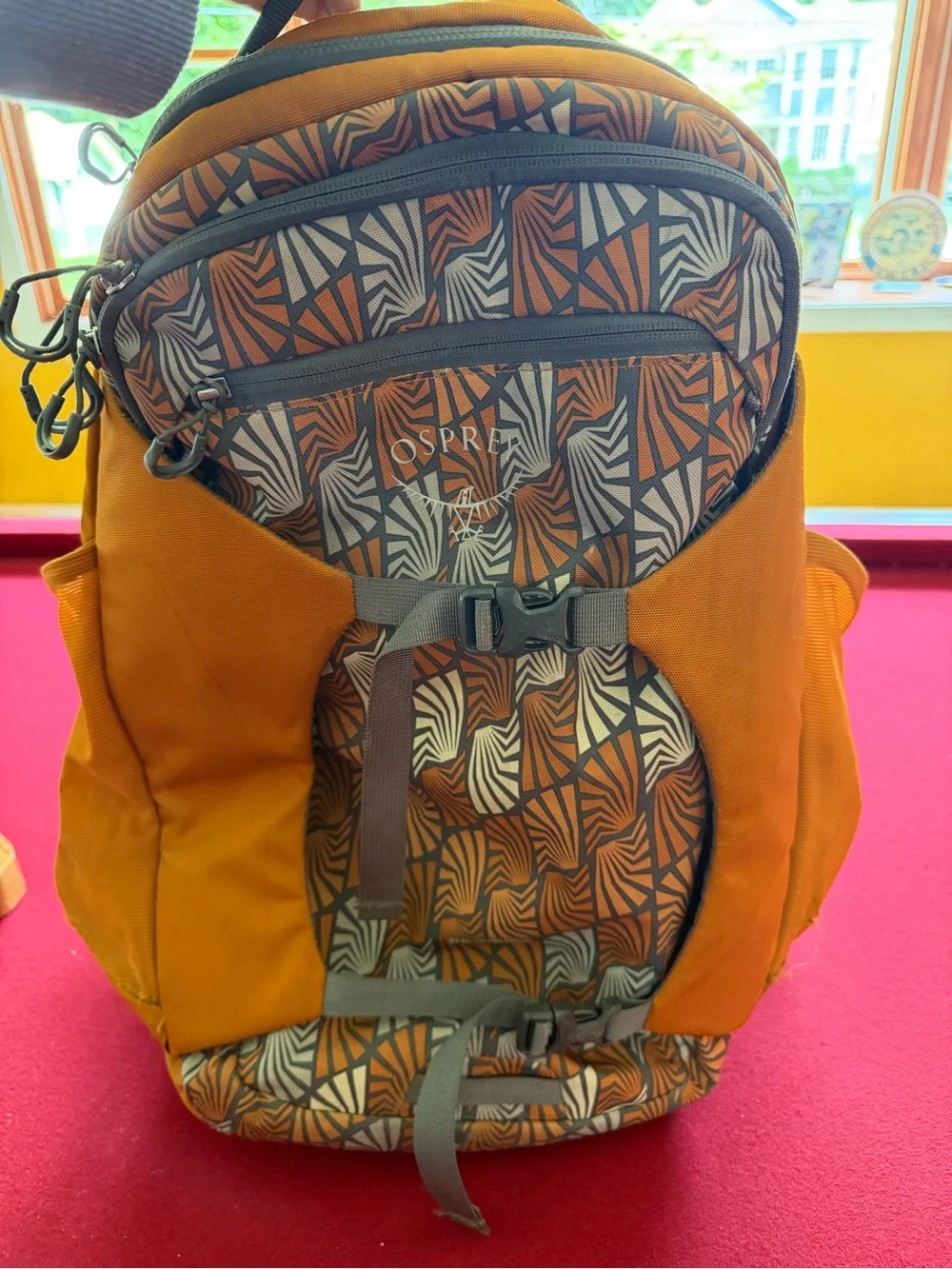 OSPREY Men's Backpack in Burnt Orange with Gray Pattern, limited edition